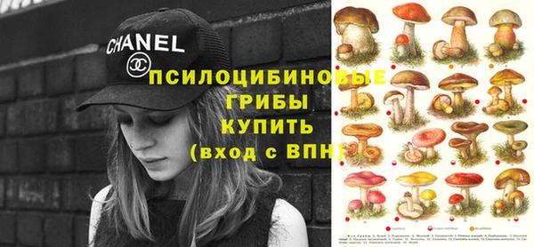 дживик Новокубанск
