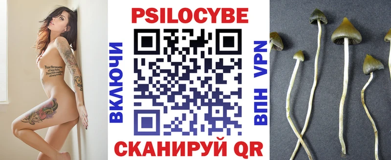 Псилоцибиновые грибы Cubensis  Югорск 